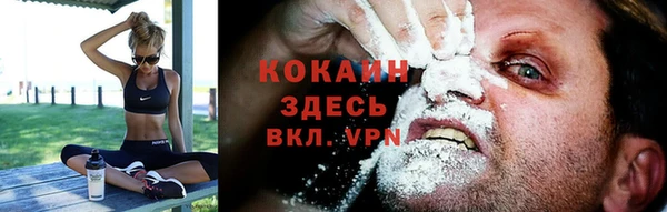 СК Дмитриев