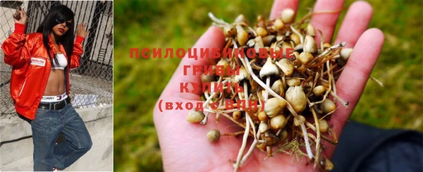 круглые Дмитров